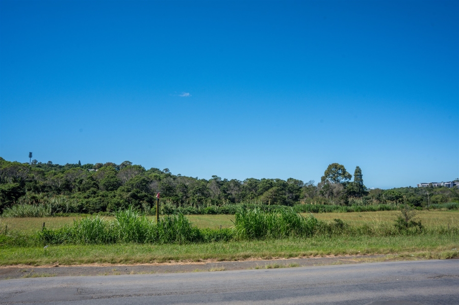 Commercial Property for Sale in Meisies Halt Eastern Cape